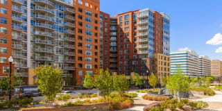 The Clark Gallery 44