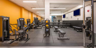 Towers at Longfellow Gallery 24