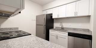 Canter Chase Gallery 20