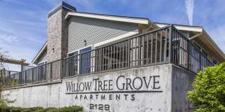 Willow Tree Grove Gallery 1