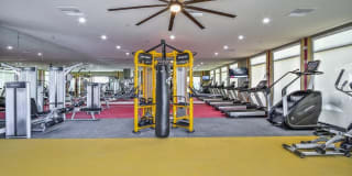 Revolution luxury apt homes Gallery 12