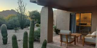 1725 E STAGHORN Lane Gallery 17