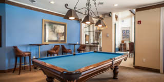 The Reserve At Tranquility Lake Gallery 46