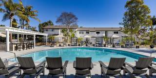 Vista Waterleaf Apartments Gallery 37