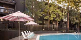 South Shore Gallery 25