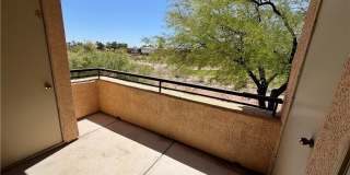 704 Peachy Canyon Circle Gallery 34
