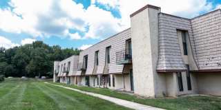 Forest Creek Gallery 13