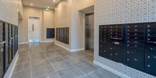 Zephyr on the Park Apartments Gallery 26