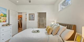 Meritum Evergreen Gallery 6