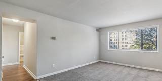 Swift at Riverdale Park Gallery 39