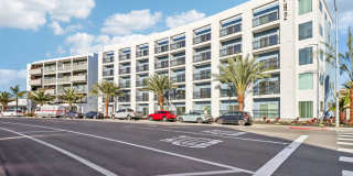 Pacific Heights II Gallery 1