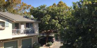 Refreshed Townhome close to Kaiser and Palmia Park Gallery 1