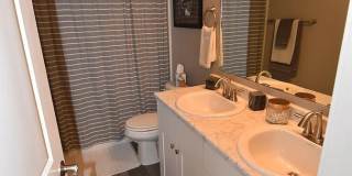 4431 Gneiss Loop Gallery 19