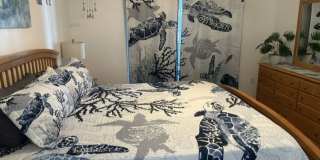 Fully furnished 3/2 available now! Gallery 16