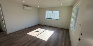 Carlin Street Gallery 11