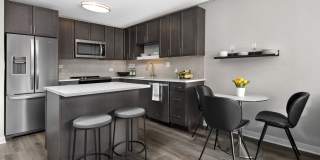 Reside on Barry Gallery 3