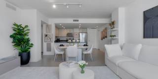 Wake Biscayne Bay Gallery 9