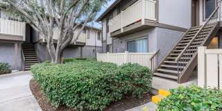 Monte Verde Apartment Homes Gallery 15