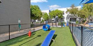 Chandler Ridge Gallery 18