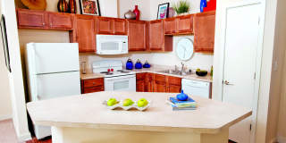 The Preserve Gallery 10