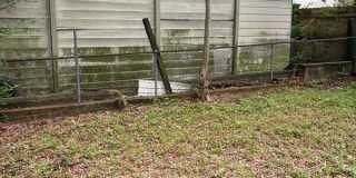 3293 S Perkins Rd Gallery 5