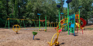 Ellwood Pines Gallery 4