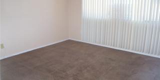 2204 SILVER PINE Drive Gallery 6