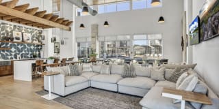 The Conley Gallery 7