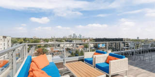 Blue and Lime Gallery 26