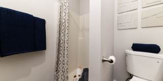 The Linden Gallery 17