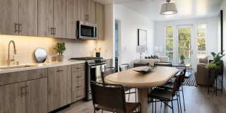 Springline Menlo Park Gallery 11