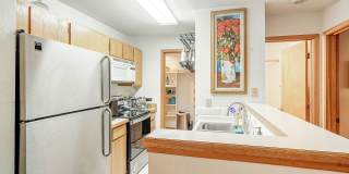 FRISCO ! Furnished! 1 pet negotiable!  An Artist's retreat! Must see. Gallery 8