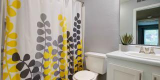Laurel Springs Gallery 14