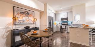 Cortland Portofino Place Gallery 12