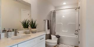 Princeton Place Gallery 17