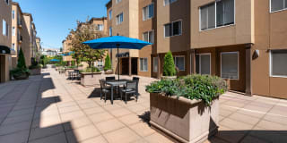 City Square Bellevue Gallery 27