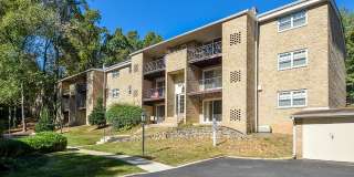 Radnor Crossing Gallery 13