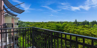 The Reserve at Coconut Point Gallery 11