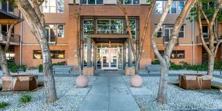1326 N Central Avenue Gallery 1