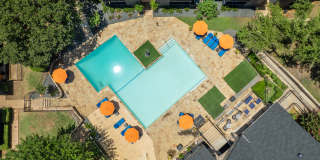 District 2308 Gallery 8