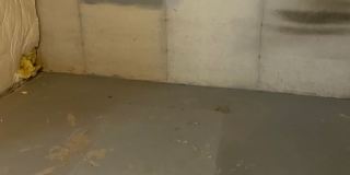 Townhome -2 bed 2.5 bath + bonus area Gallery 39