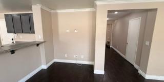 3208 BRAYTON MIST Drive Gallery 17