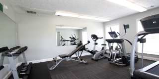 Spacious One Bedroom Apartment with W/D Connection! Gallery 62