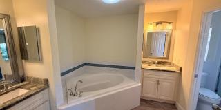 3 Bedroom / 2 Bath / POOL HOME - FULLY FURNISHED Gallery 8