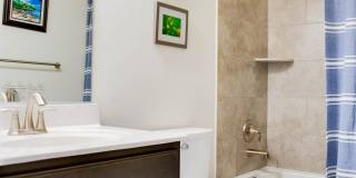 5003 Little Martha Way Gallery 24