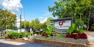 Collier Ridge Gallery 29