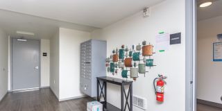 Montisi Gallery 8
