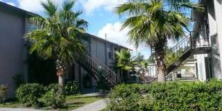 Baywatch Apartments- Five Minutes Driving from USF Gallery 1