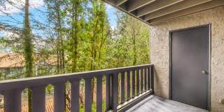 Forest Hill Village Gallery 39