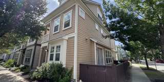 2033 Philomena St 2033 Philomena St Gallery 1